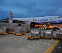 南京活海鮮托運指南 優(yōu)質(zhì)商家與貨運代理服務(wù)推薦